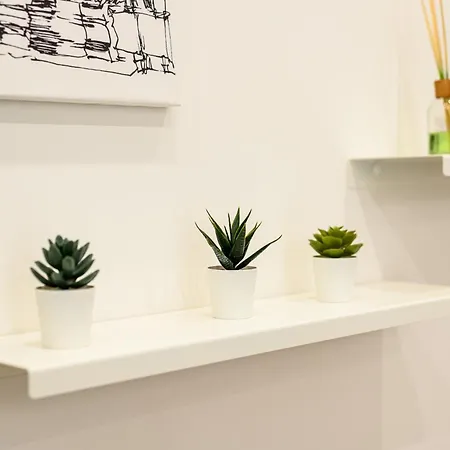 Dimora Joseph Via Toledo * Naples